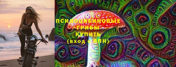 мяу мяу мука Арсеньев