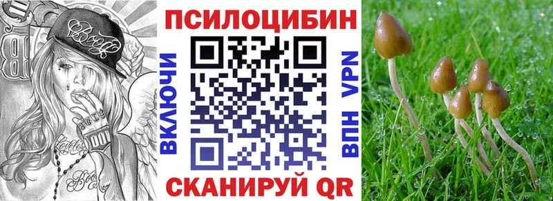 Псилоцибиновые грибы мицелий  как найти закладки  Ельня 